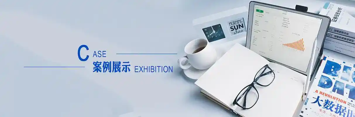 分宜县软件开发